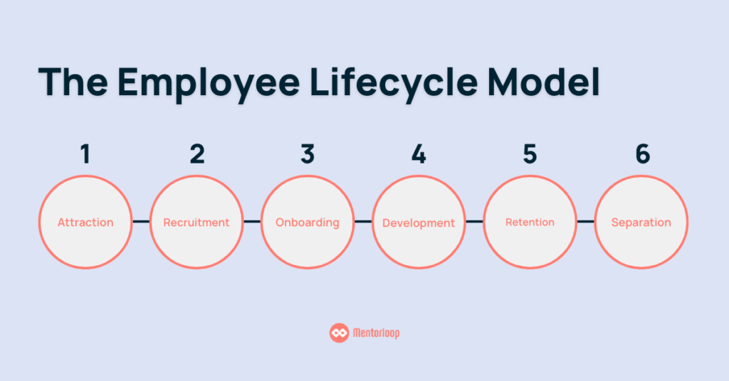 The Employee Lifecycle Model